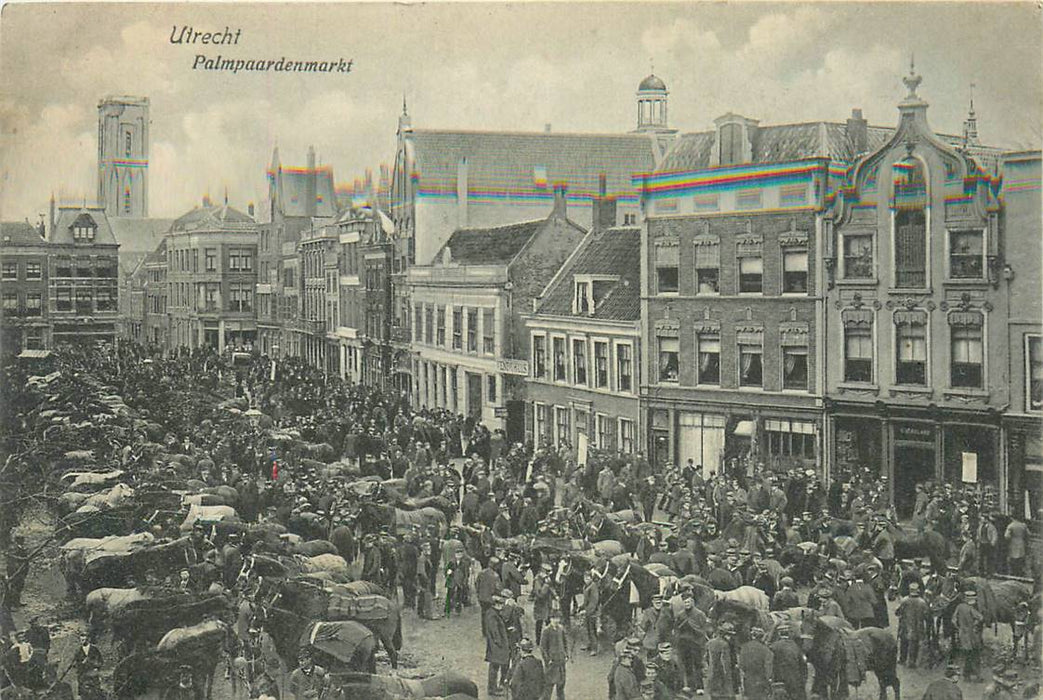 Utrecht Palmpaardenmarkt