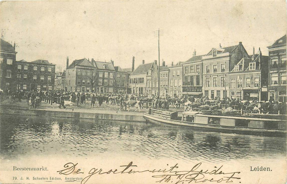 Leiden Beestenmarkt