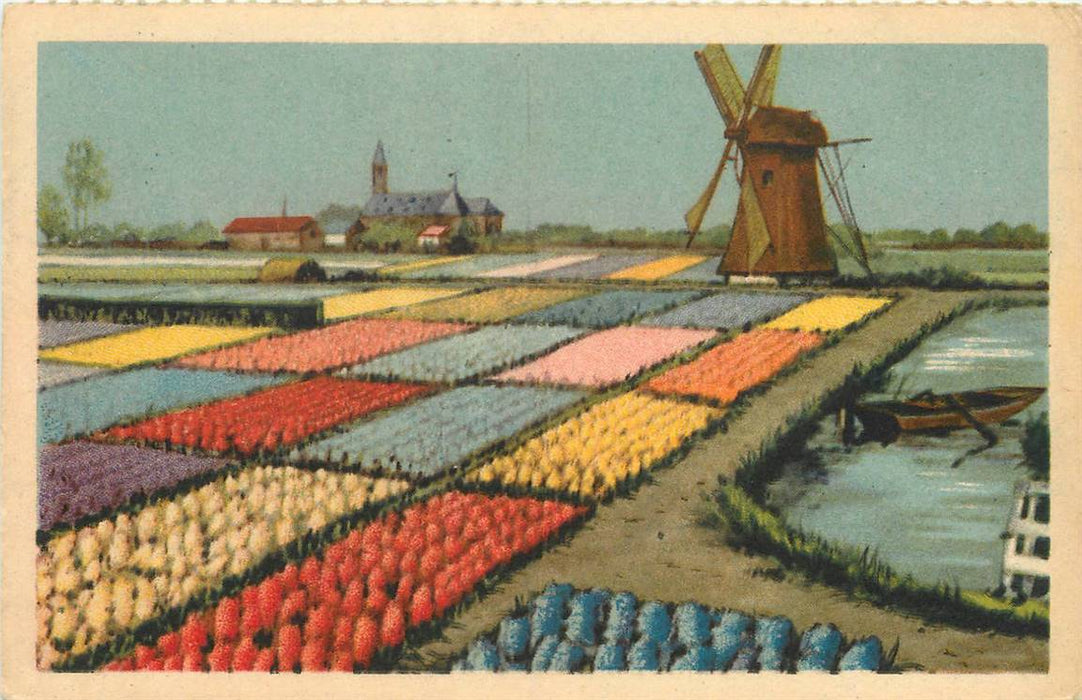 Nederland Bloembollenvelden