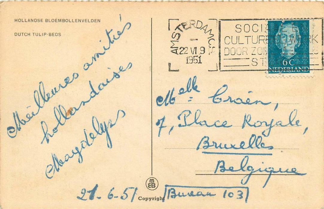 Nederland Bloembollenvelden