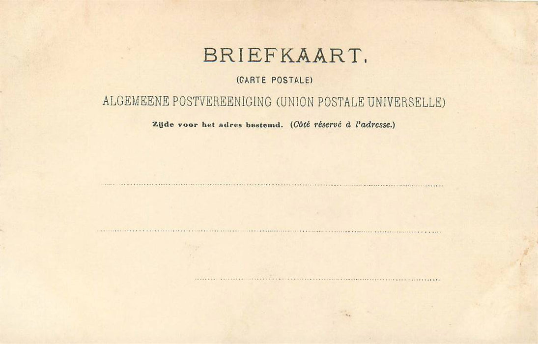 Nederland Het Koninklijk Bruidspaar