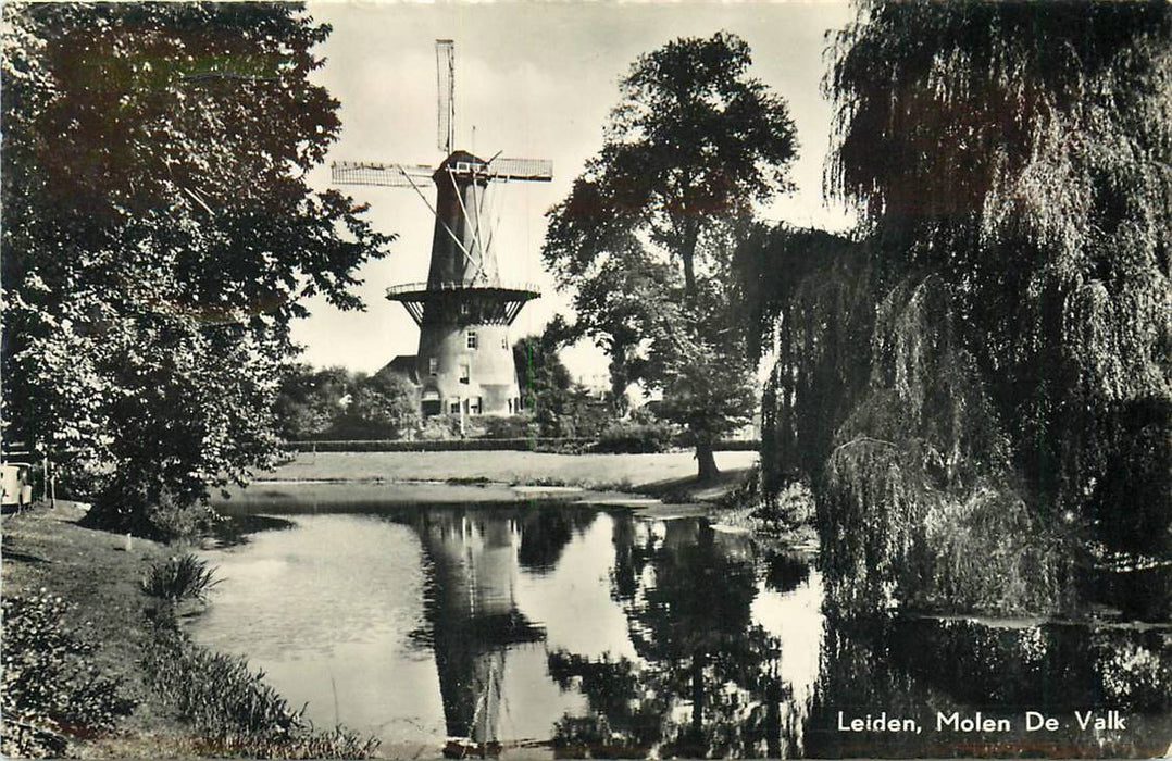 Leiden Molen de Valk