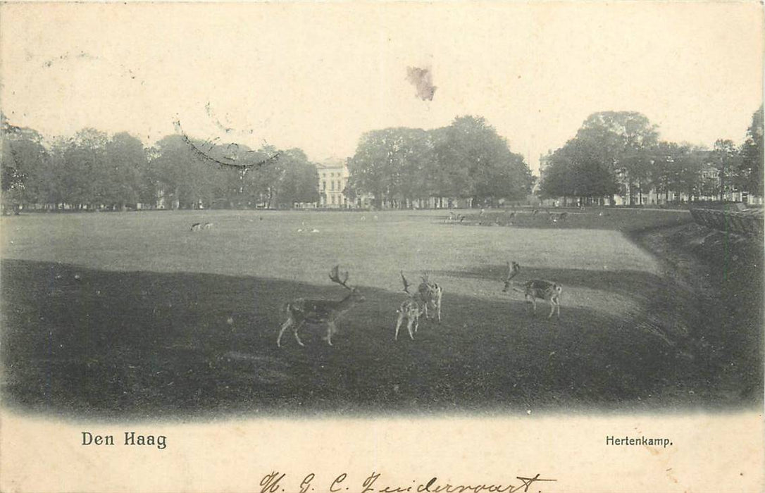 Den Haag Hertenkamp