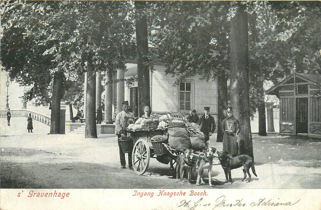 Den Haag Ingang Haagsche Bosch