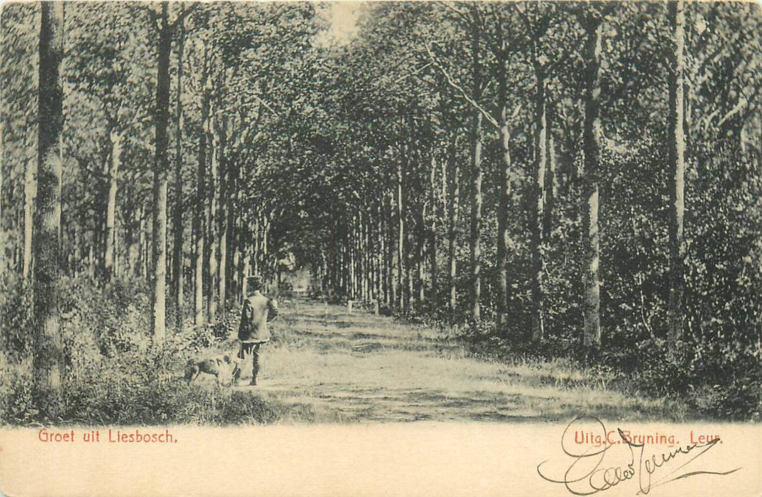 Breda Groet uit Liesbosch