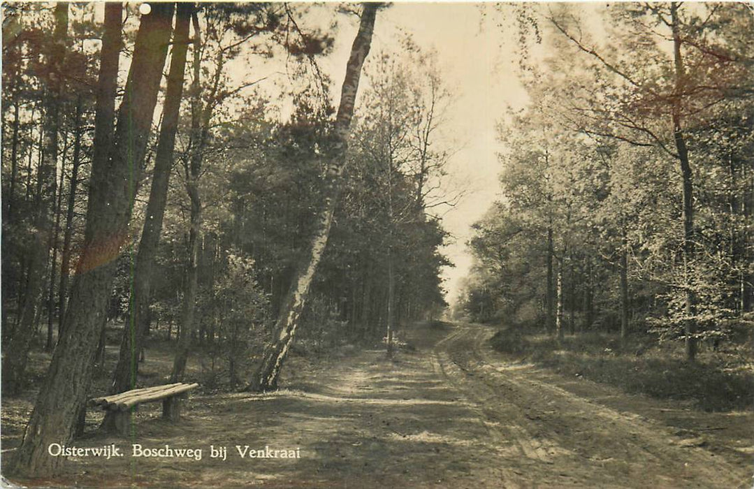 Oisterwijk Boschweg bij Venkraai