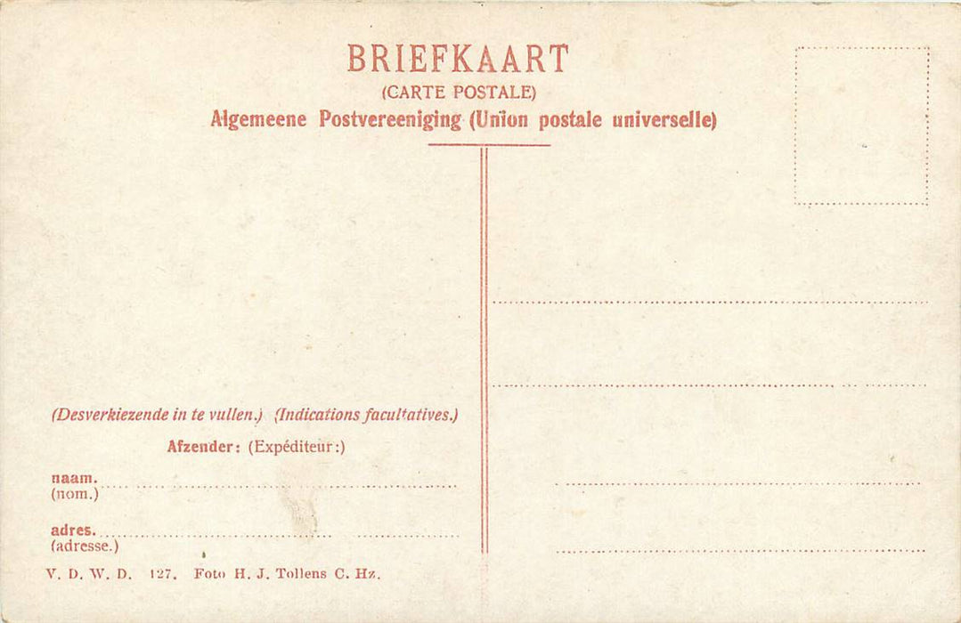 Zuid Hollandsche Boerin