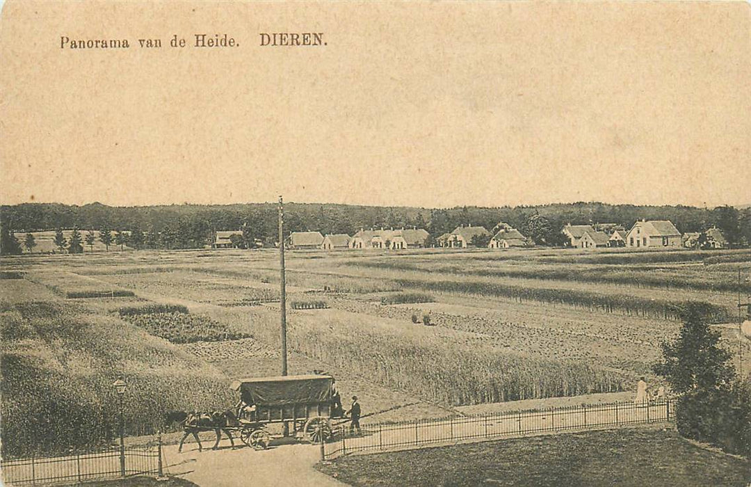 Dieren Panorama van de Heide