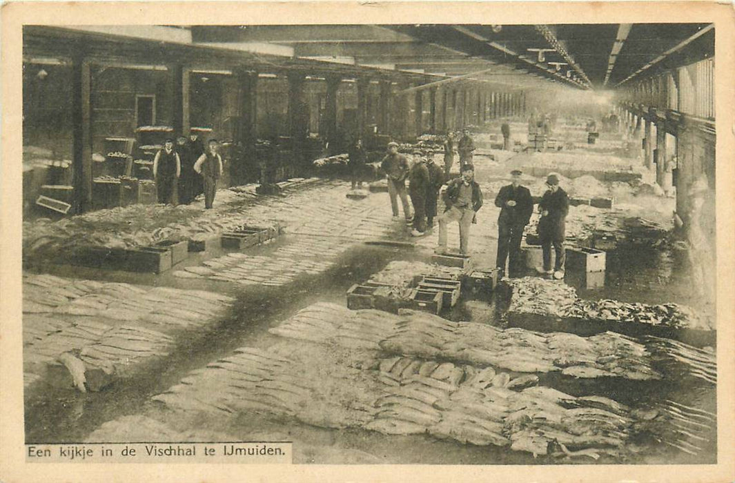 IJmuiden Een kijkje in de Vischhal