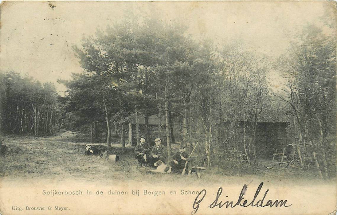 Bergen (NH) Spijkerbosch in de duinen