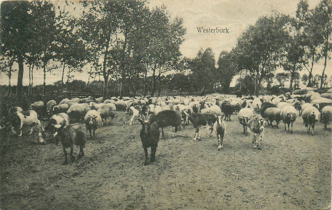 Westerbork