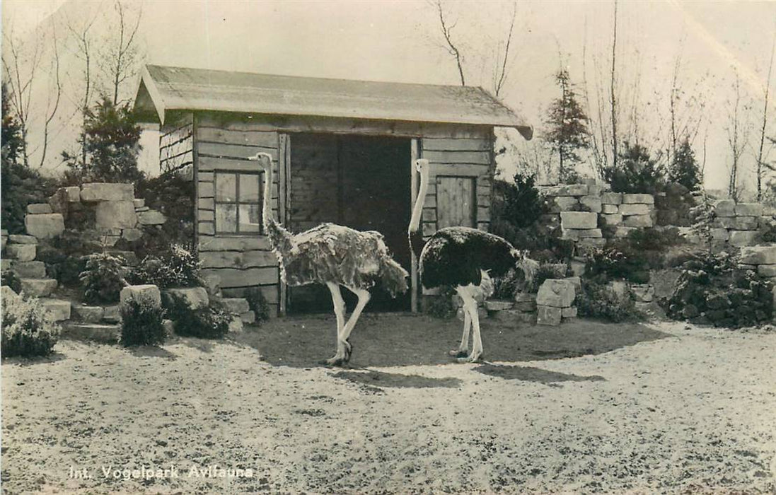 Alphen aan den Rijn Avifauna