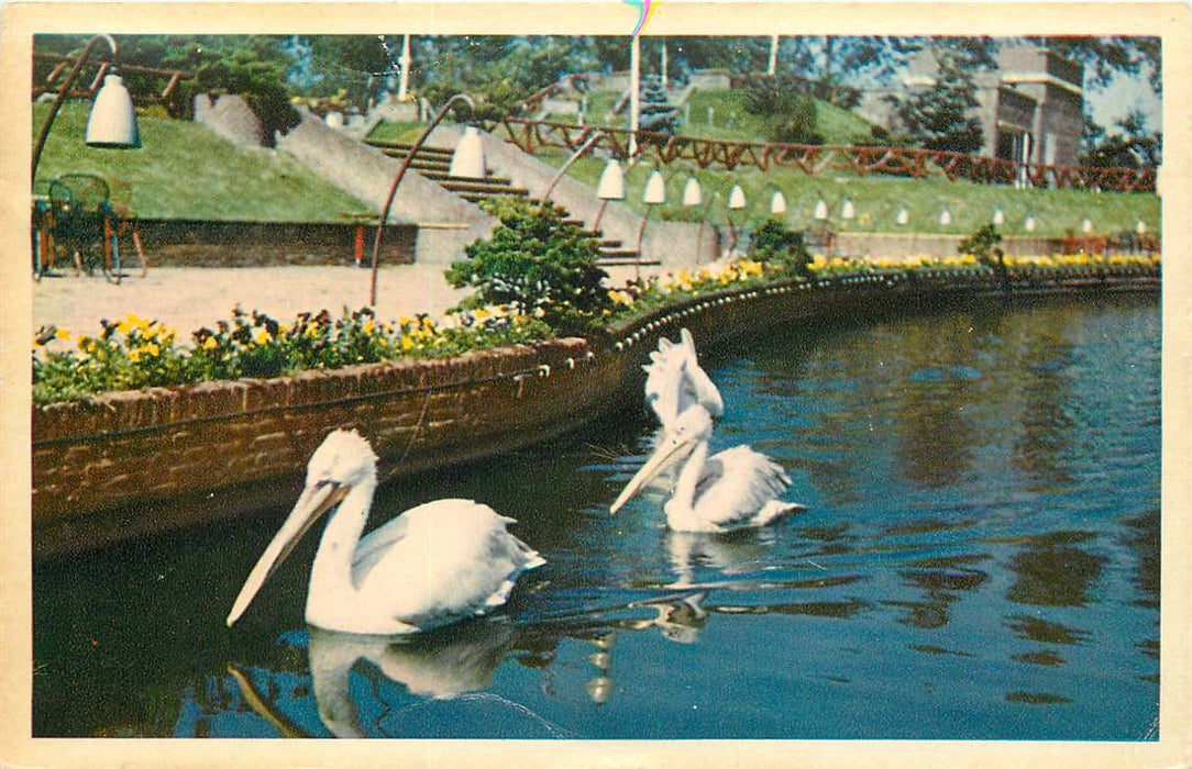 Alphen aan den Rijn Avifauna