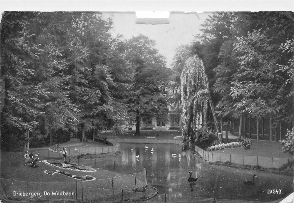 Driebergen-Rijsenburg De Wildbaan