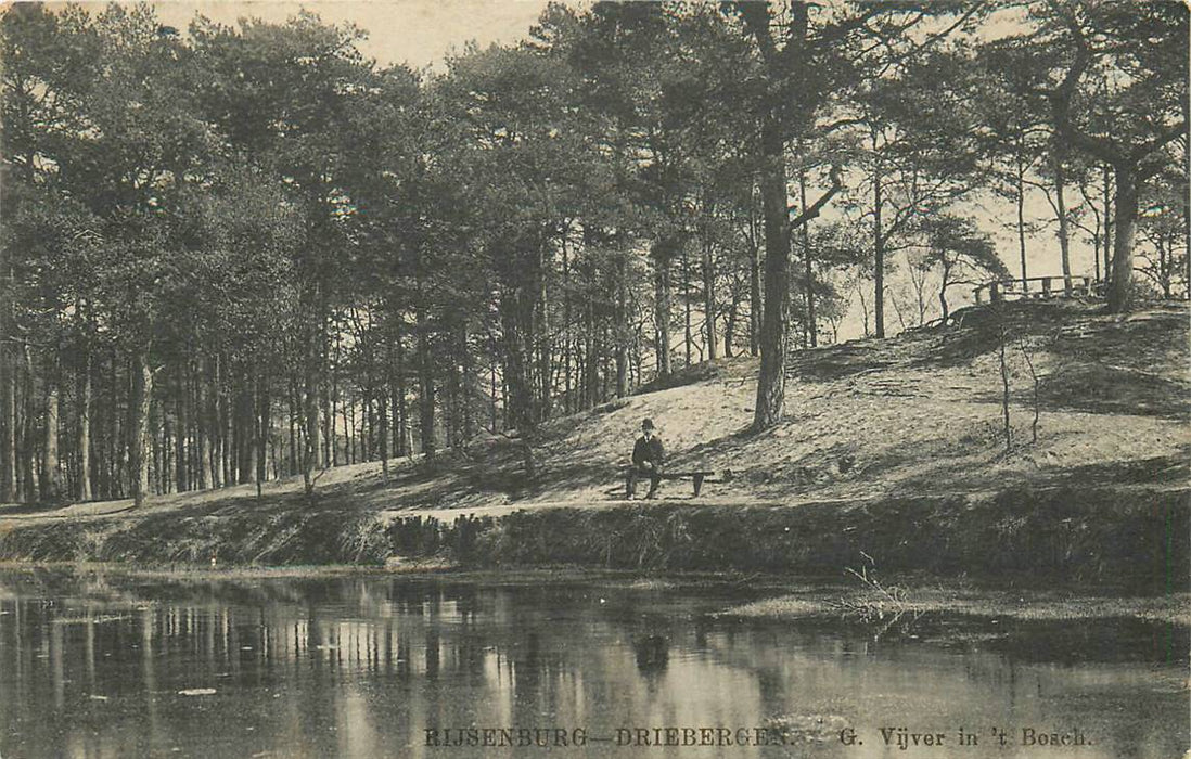 Driebergen-Rijsenburg Vijver in t Bosch