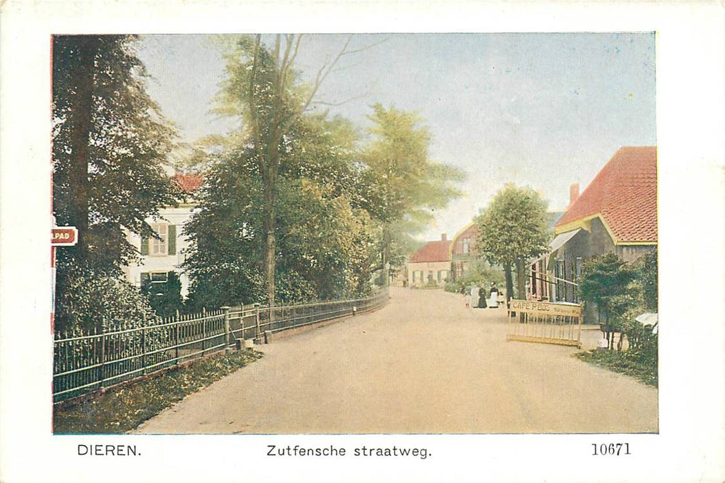 Dieren Zutfensche Straatweg