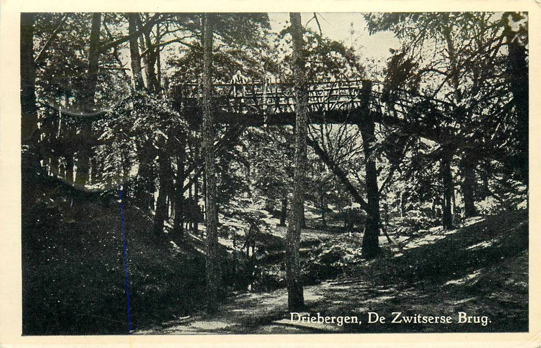 Driebergen-Rijsenburg De Zwitserse Brug