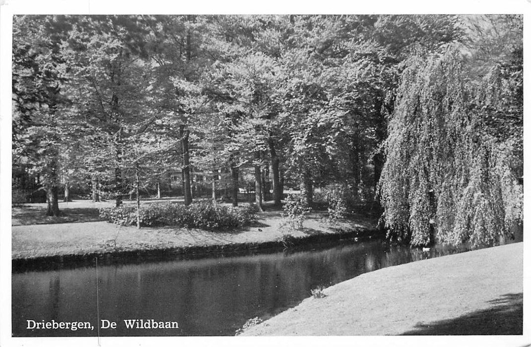 Driebergen-Rijsenburg De Wildbaan