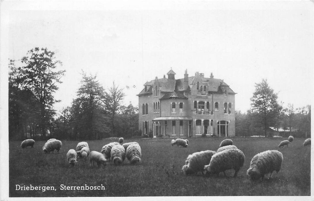 Driebergen-Rijsenburg Sterrenbosch