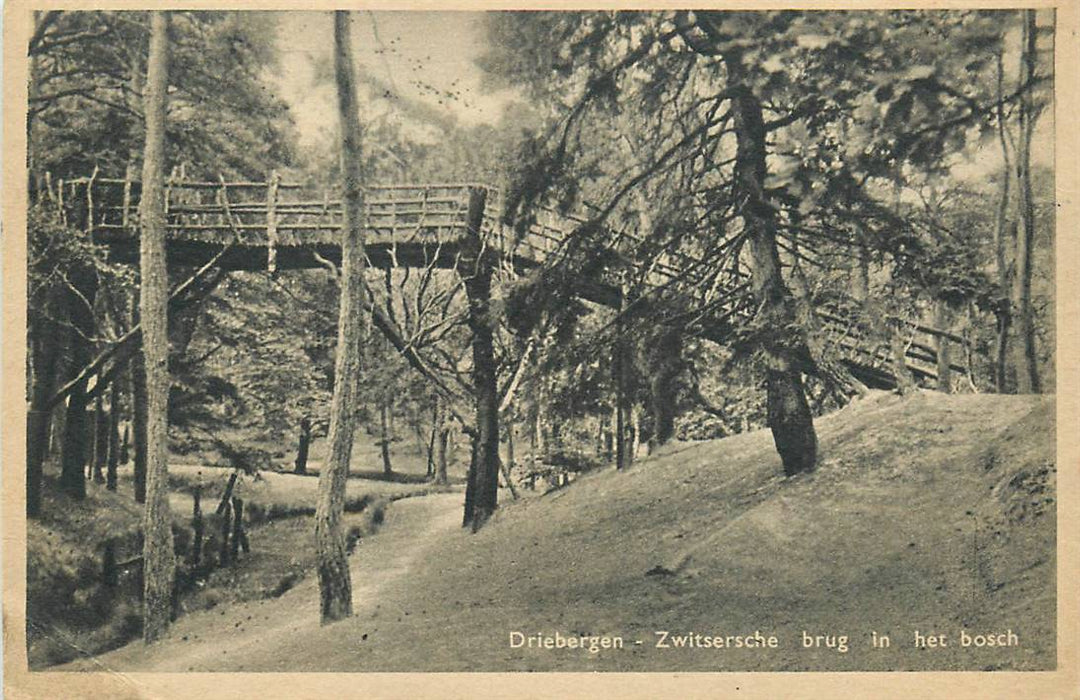 Driebergen-Rijsenburg Zwitsersche brug in het Bosch