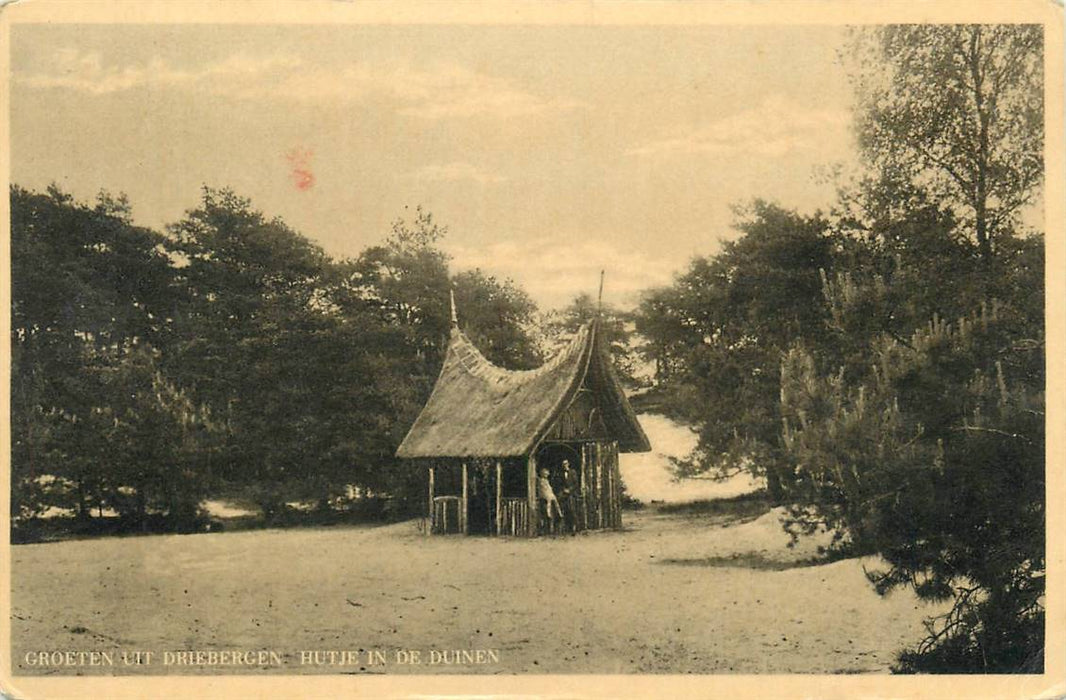 Driebergen-Rijsenburg Hutje in de Duinen