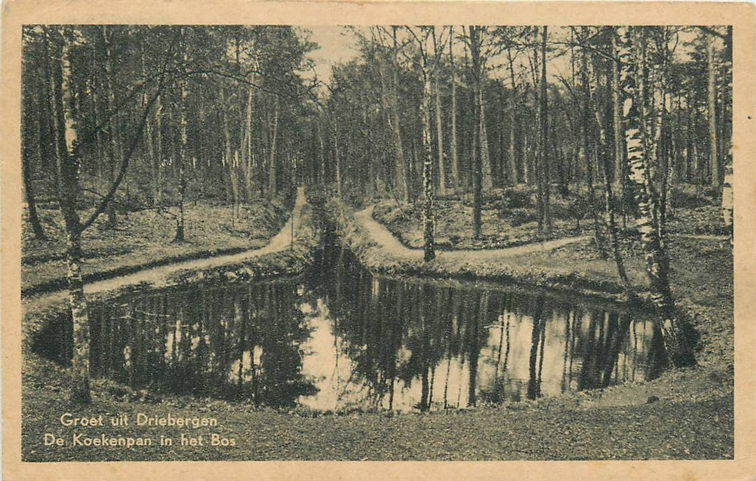 Driebergen-Rijsenburg De Koekenpan in het Bos