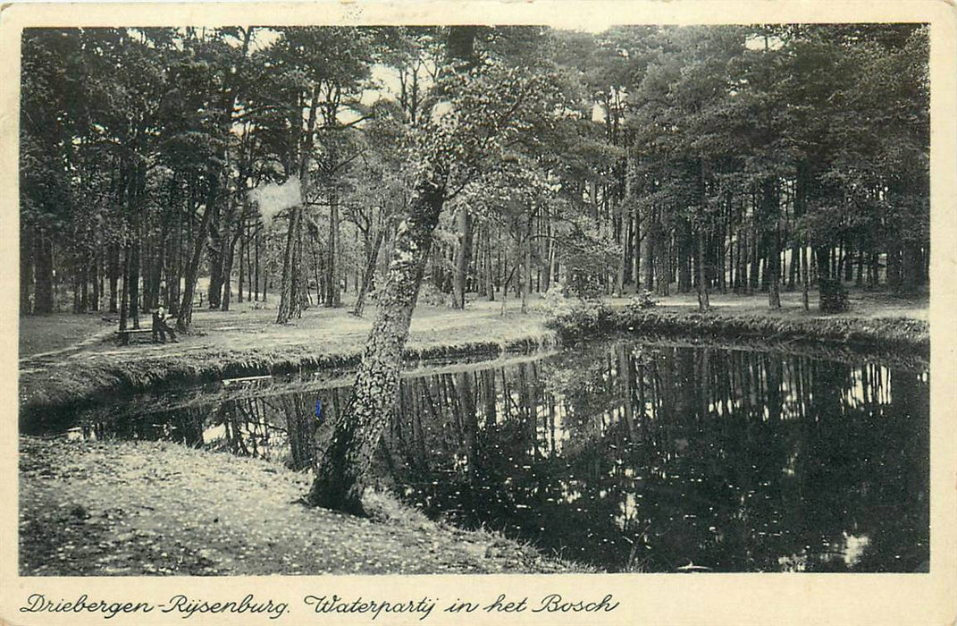 Driebergen-Rijsenburg Waterpartij in het Bosch