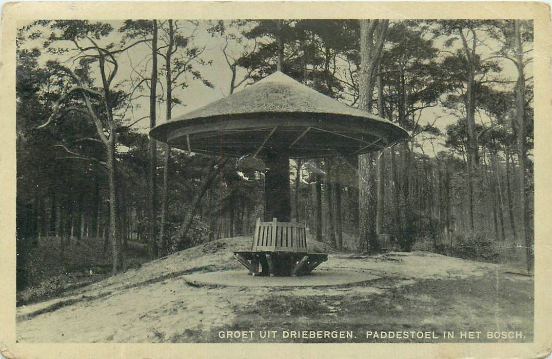 Driebergen-Rijsenburg Paddenstoel in het Bosch