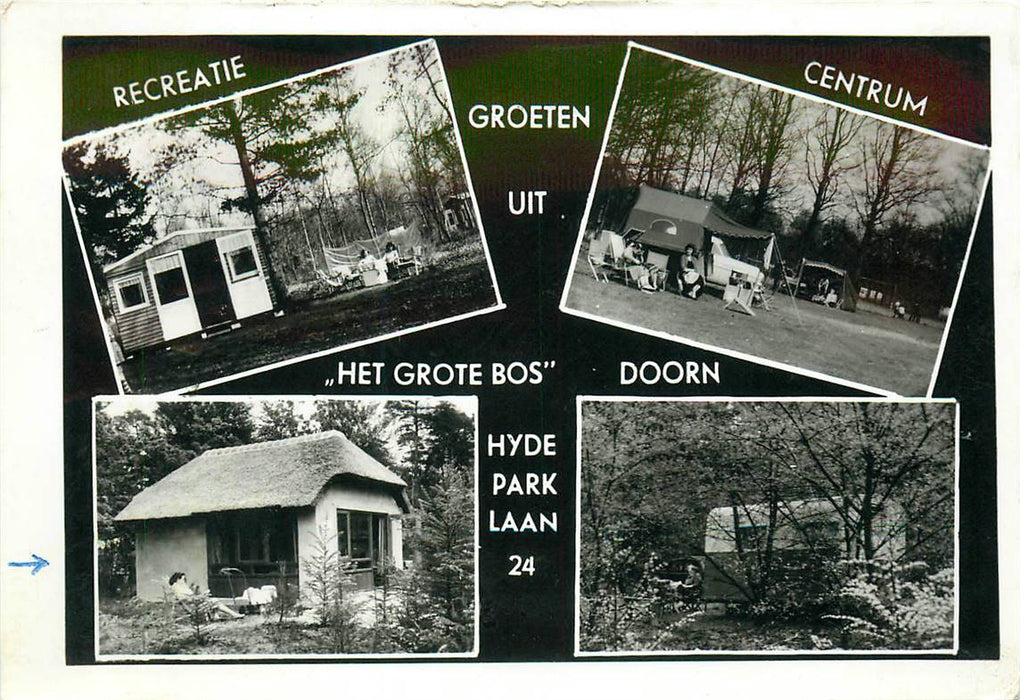 Doorn Het Grote Bos