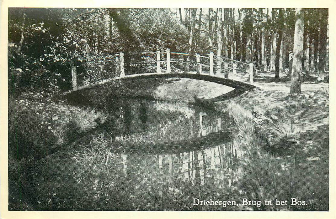 Driebergen-Rijsenburg Brug in het Bos