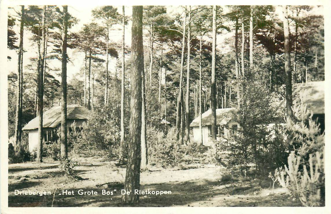 Driebergen-Rijsenburg Het Grote Bos