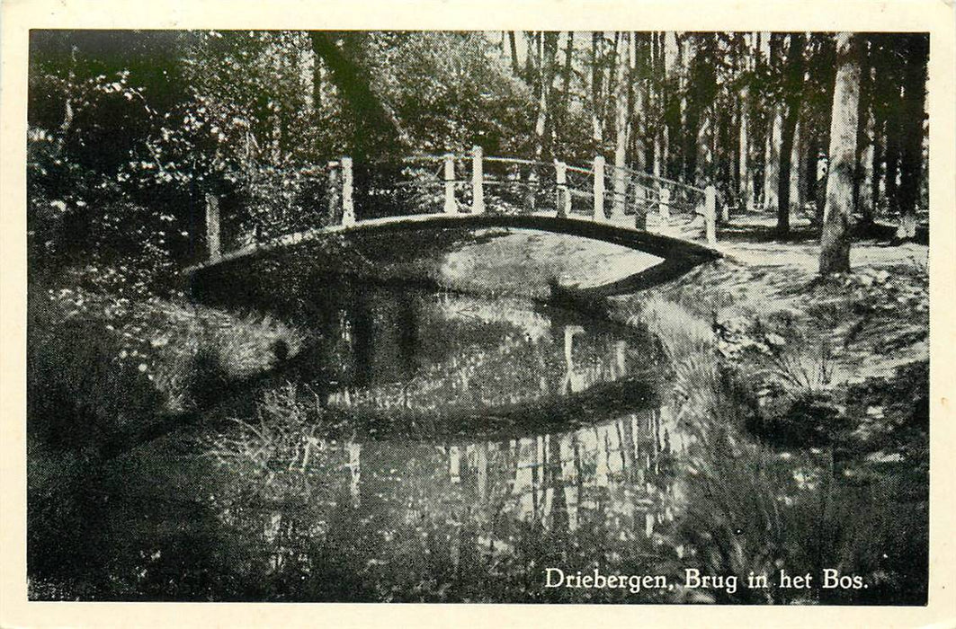 Driebergen-Rijsenburg Brug in het Bos