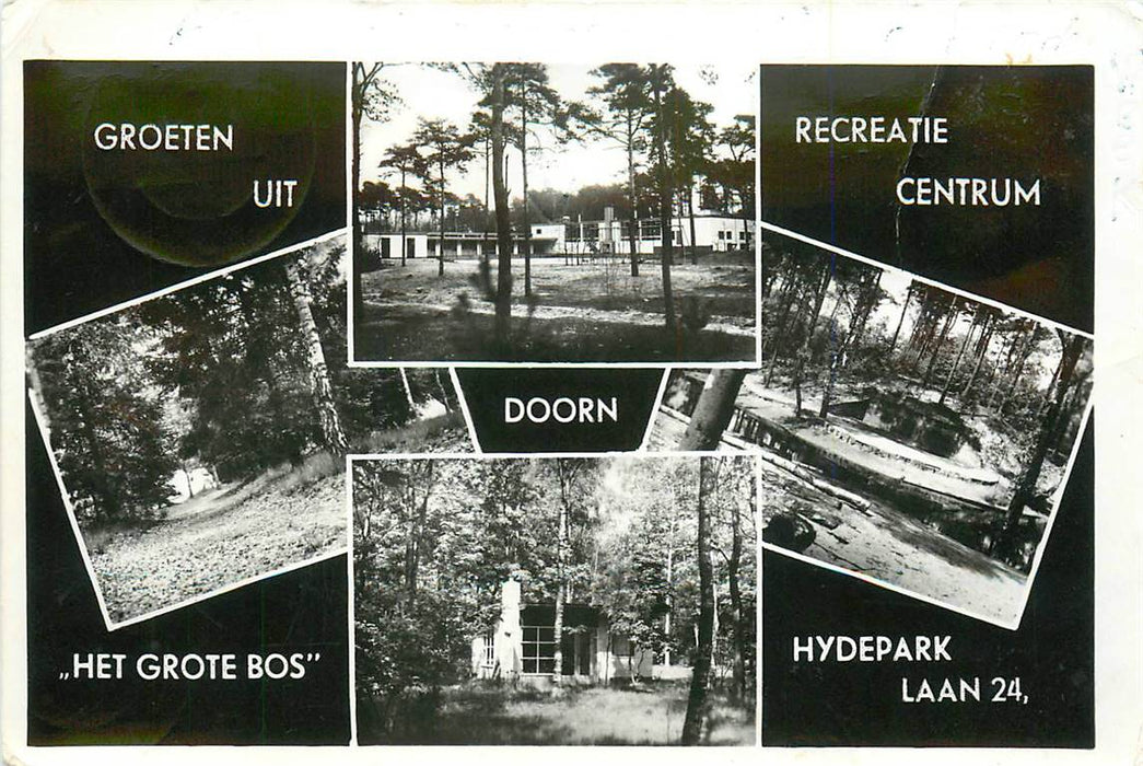 Doorn Het Grote Bos