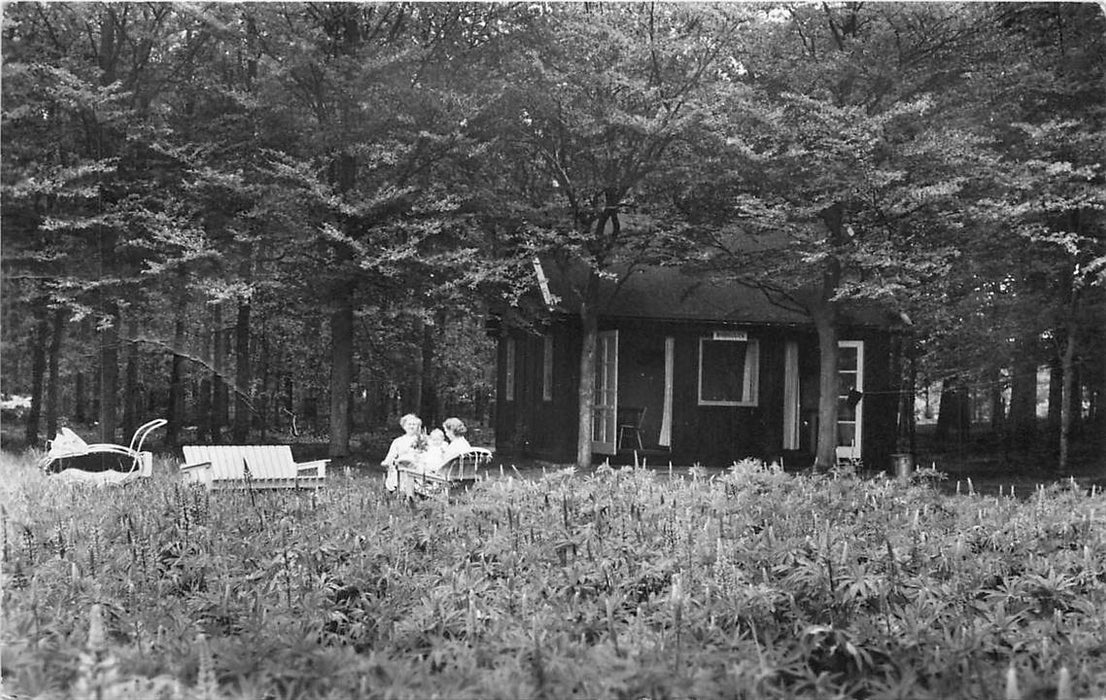 Doorn Het Grote Bos