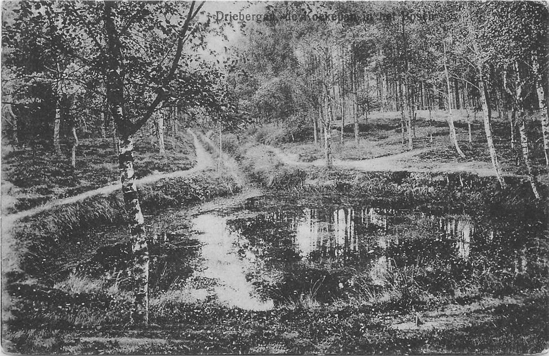 Driebergen-Rijsenburg Koekenpak in het Bosch