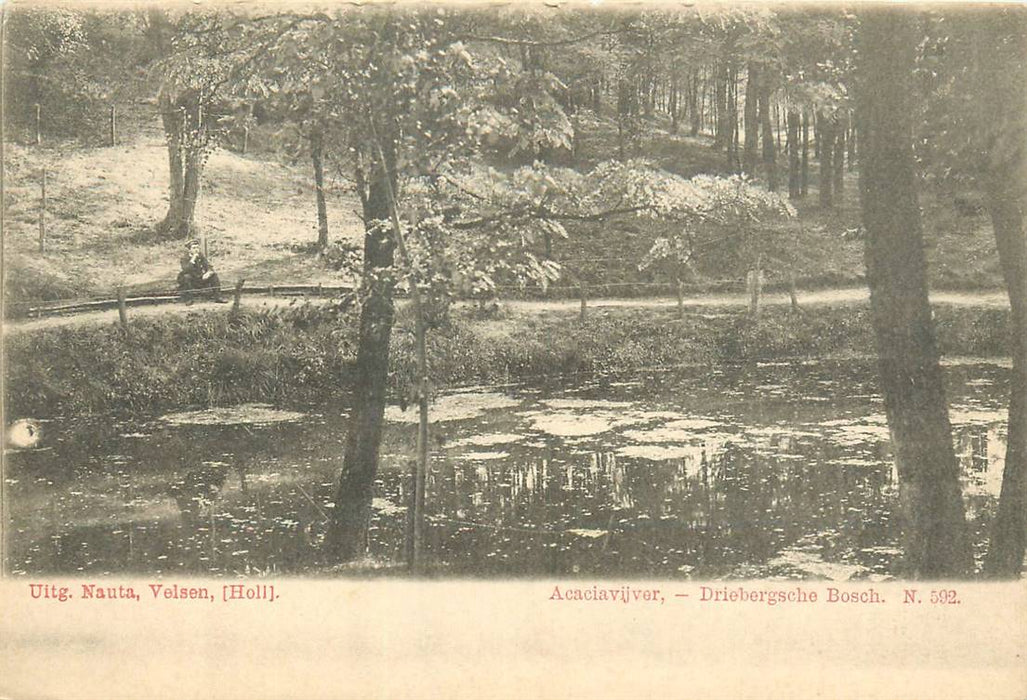 Driebergen-Rijsenburg Acaciavijver