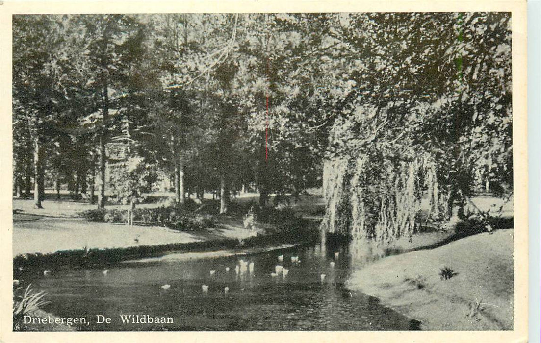 Driebergen-Rijsenburg De Wildbaan