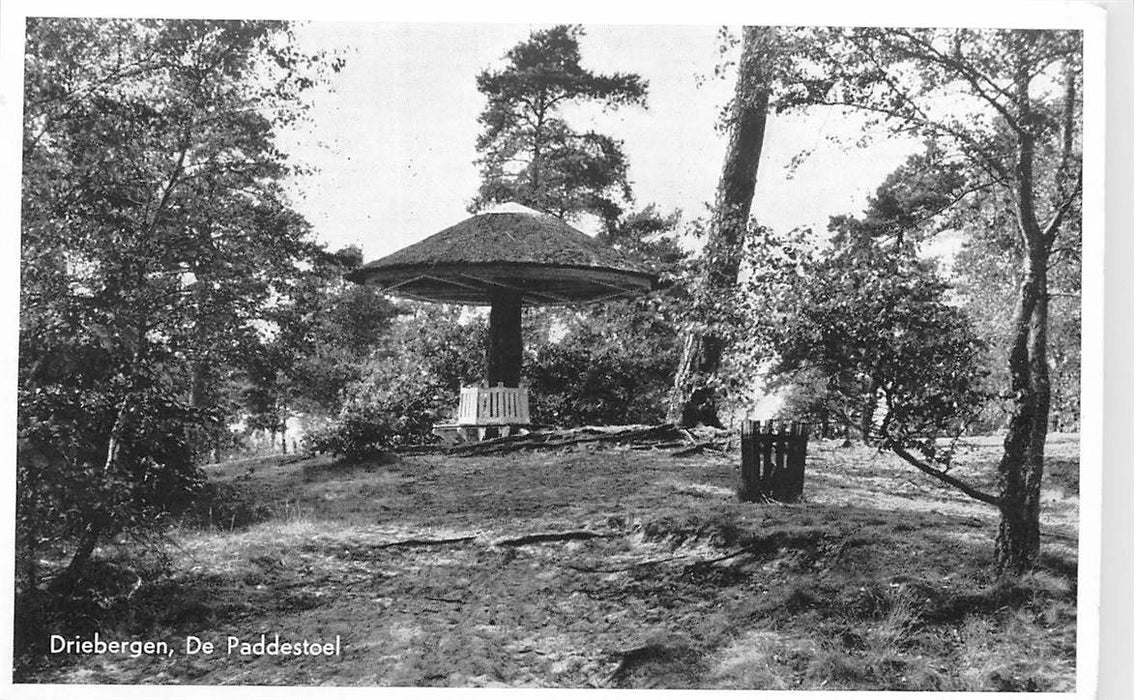 Driebergen-Rijsenburg De Paddenstoel