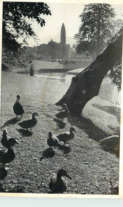 Driebergen-Rijsenburg de Wildbaan