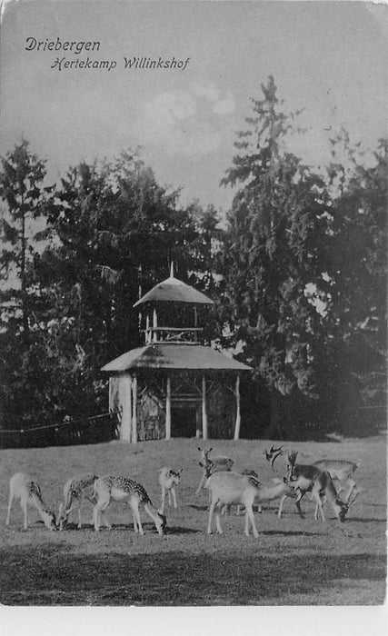 Driebergen-Rijsenburg Hertekamp Willinkshof