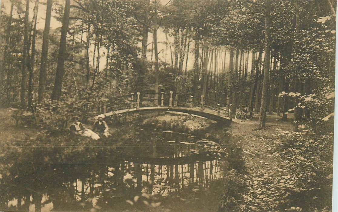 Driebergen-Rijsenburg Bruggetje in t Bosch