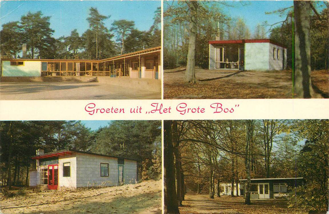 Doorn Het Grote Bos