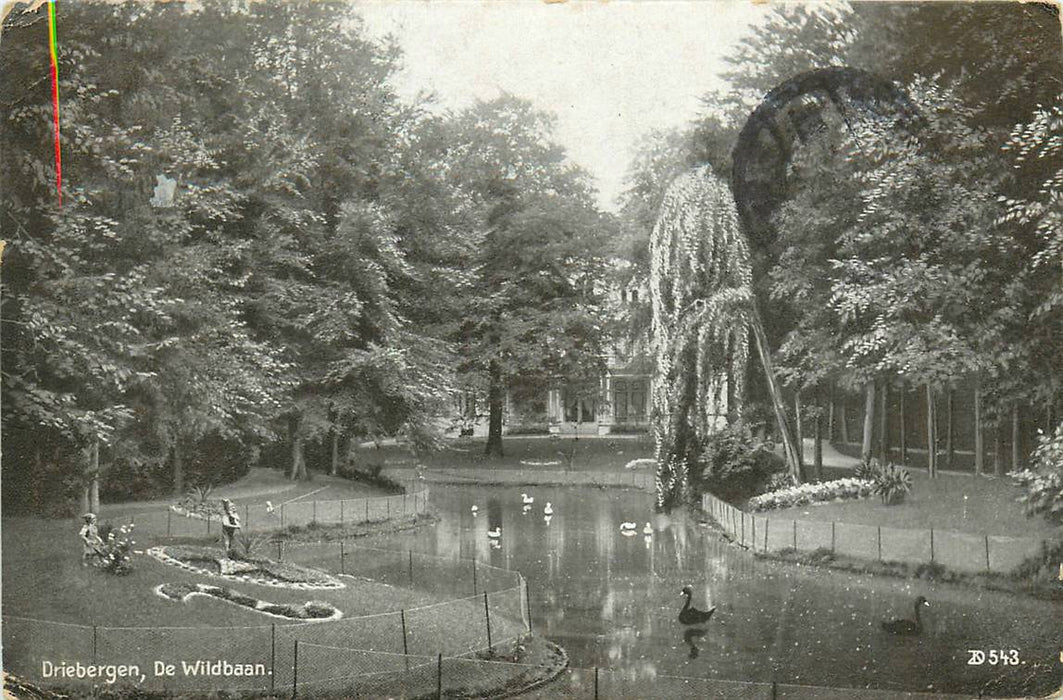 Driebergen-Rijsenburg de Wildbaan