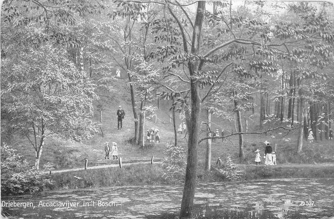 Driebergen-Rijsenburg Accaciavijver in t Bosch