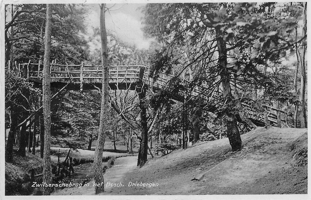 Driebergen-Rijsenburg Zwitserschebrug in het Bosch