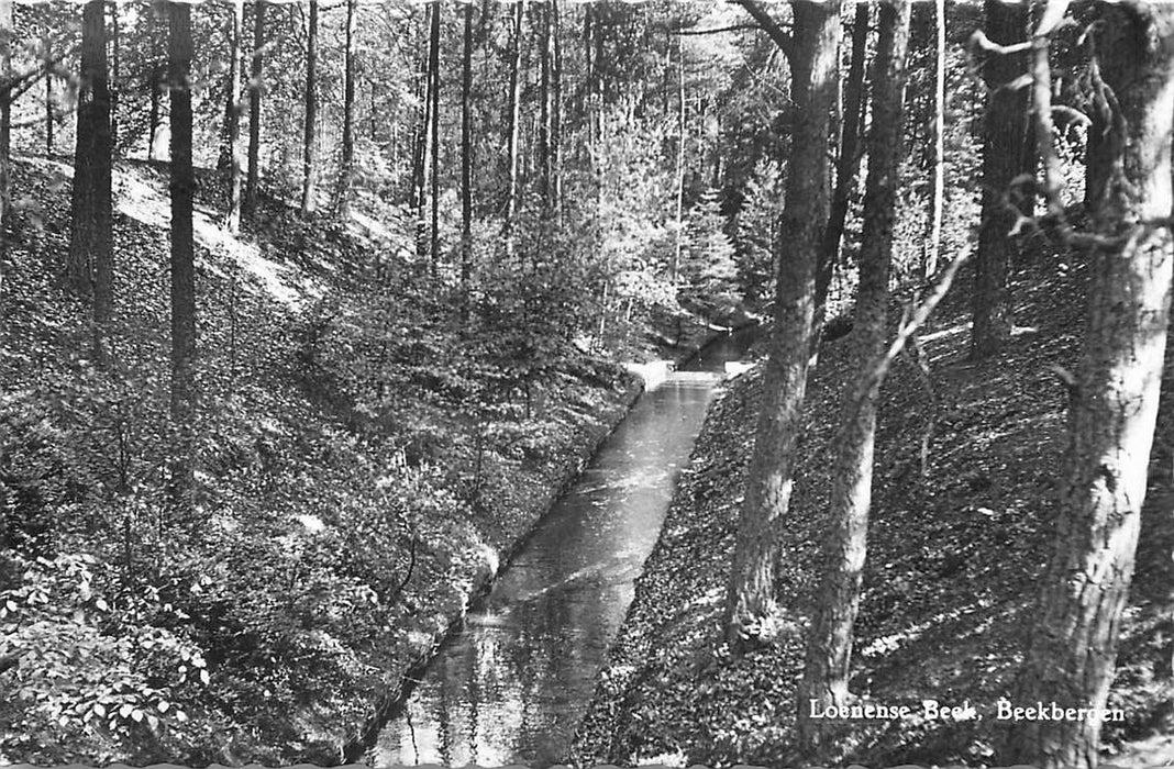 Beekbergen Loenense Beek