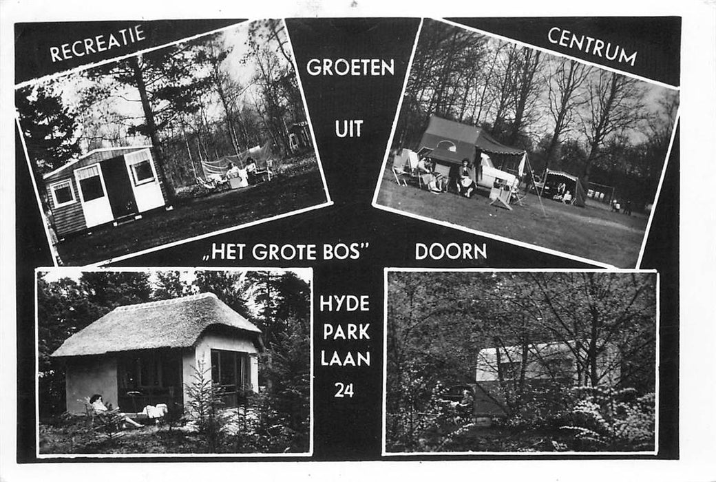 Doorn Het Grote Bos