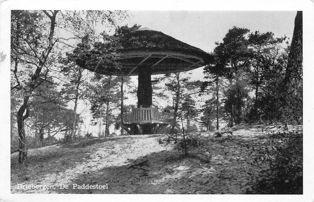 Driebergen-Rijsenburg De Paddenstoel