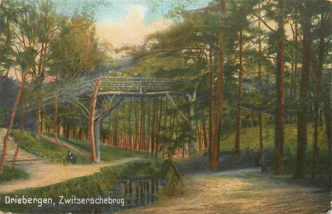 Driebergen-Rijsenburg Zwitserschebrug