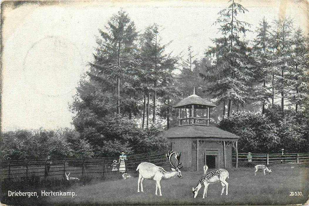 Driebergen-Rijsenburg Hertenkamp